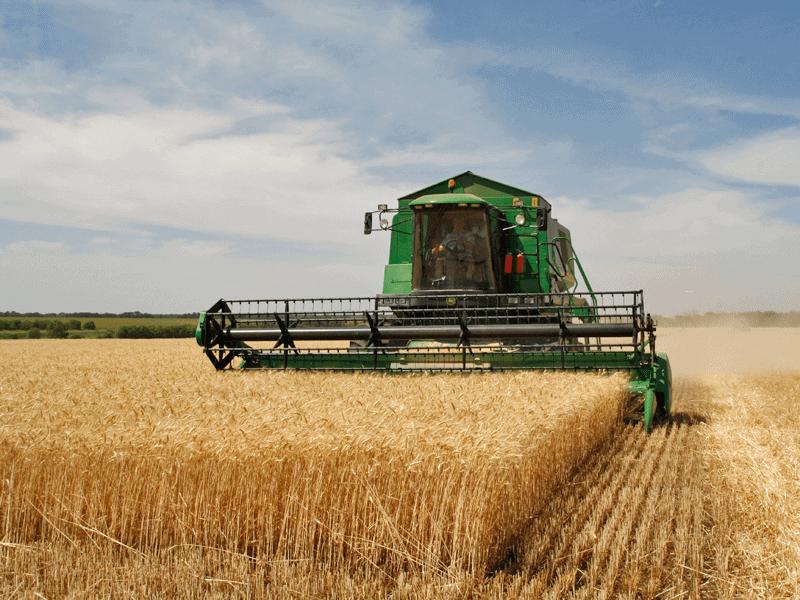 Chapter Notes - Crop Production and Management Class 8 Notes | EduRev