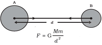 NCERT Solutions, Gravitation, Class 9, Science | EduRev Notes