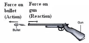 Theory - To study the Third Law of Motion using two spring balances ...