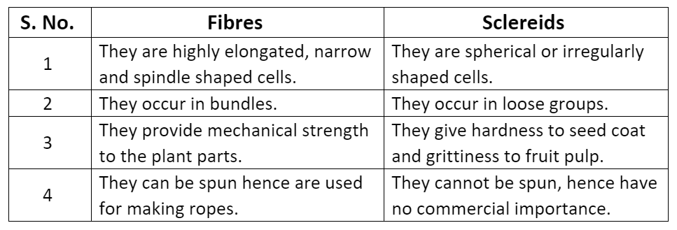 Plant Tissues - Tissues, Class 9 | EduRev Notes