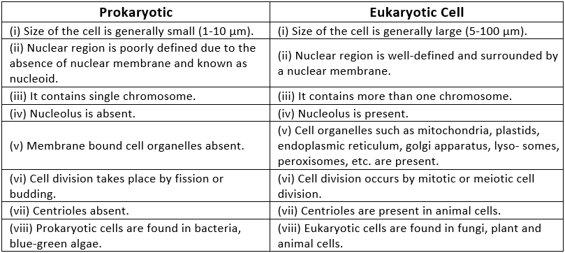 NCERT Solutions - The Fundamental Unit Of Life Class 9 Notes | EduRev
