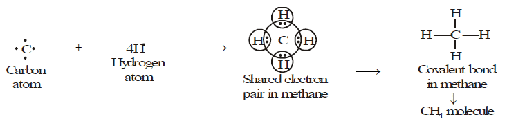 Overview Of Carbon And Covalent Bonding In Carbon Class Notes Edurev