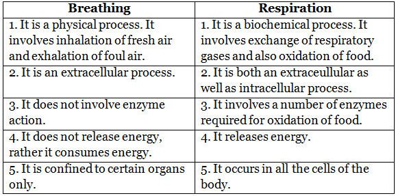 Aerobic and Anaerobic Respiration Class 10 Notes | EduRev