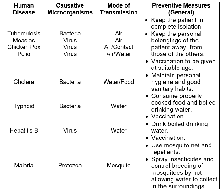 Long Answer Questions - Microorganisms : Friend And Foe Class 8 Notes ...