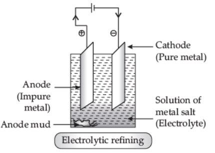 Worksheet (1): Metals and Non-metals Class 10 Notes | EduRev