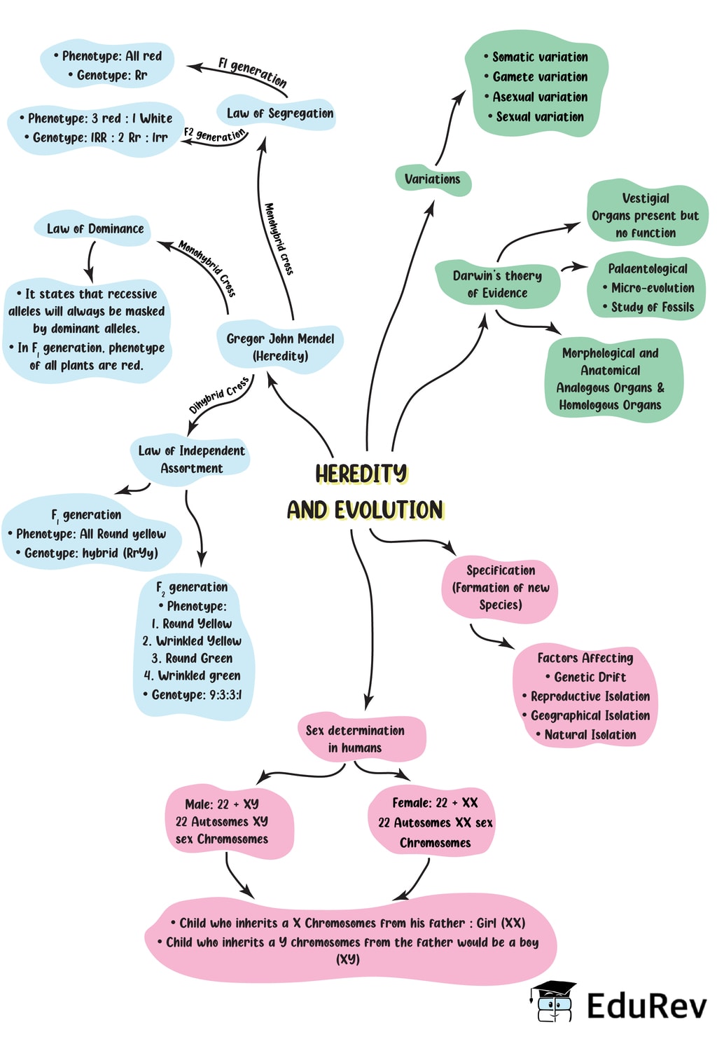 Mindmap: Heredity and Evolution Notes | Study Science Class 10 - Class 10