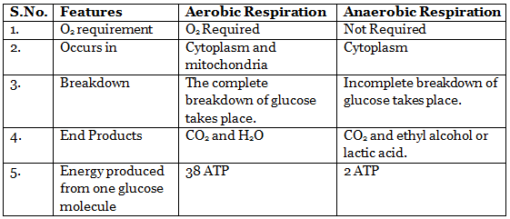 Aerobic and Anaerobic Respiration Class 10 Notes | EduRev