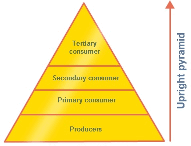 Ncert Solutions - Our Environment Class 10 Notes 