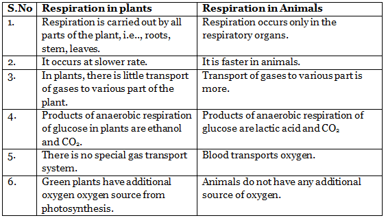 Aerobic and Anaerobic Respiration Class 10 Notes | EduRev