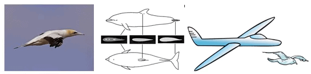 What Is Friction Class 8 Notes