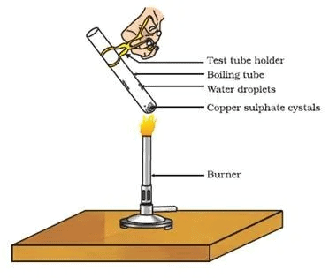 Virtual Experiments - Acids, Bases and Salts Notes | EduRev