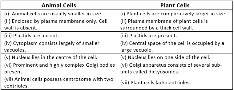 NCERT Solutions - The Fundamental Unit Of Life Class 9 Notes | EduRev