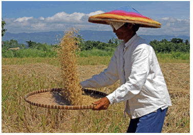 Chapter Notes - Crop Production and Management Class 8 Notes | EduRev