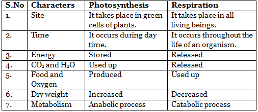 Aerobic and Anaerobic Respiration Class 10 Notes | EduRev