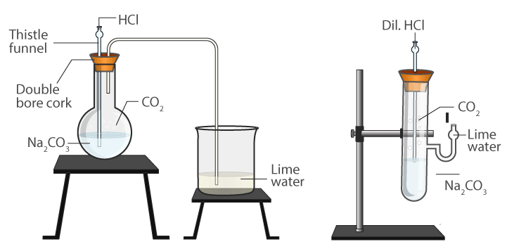 sodium hydrogen carbonate experiments