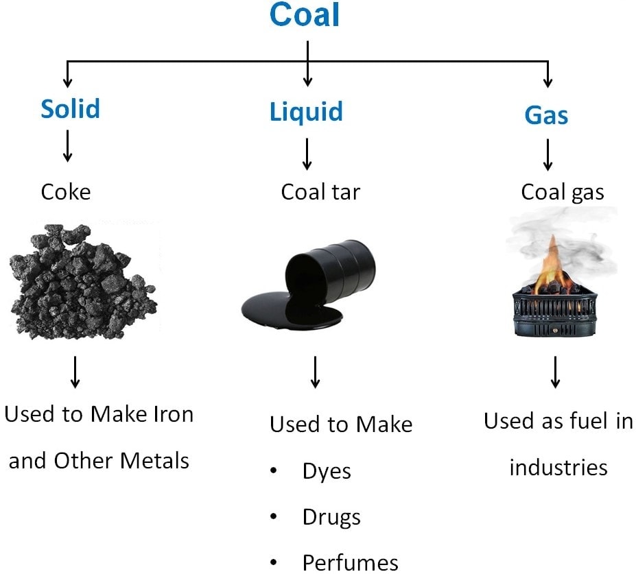Chapter Notes - Coal & Petroleum Class 8 Notes | EduRev