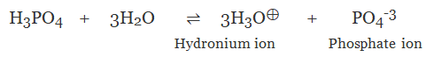 Overview of Acids and Bases Class 10 Notes | EduRev