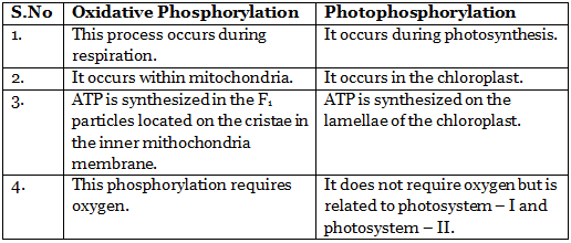 Aerobic and Anaerobic Respiration Class 10 Notes | EduRev