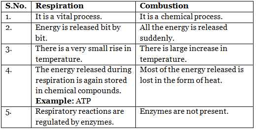 Aerobic and Anaerobic Respiration Class 10 Notes | EduRev