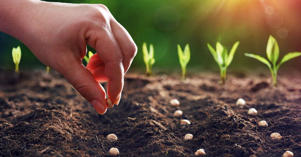 NCERT Solutions Crop Production Management Class 8 Notes EduRev