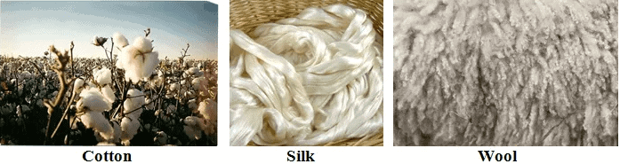 Chapter Notes - 2, Synthetic Fibres and Plastics, Class 8, Science | EduRev Notes