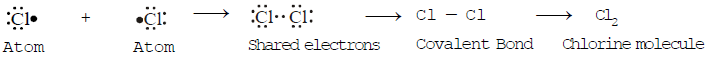 Overview of Carbon and Covalent Bonding in Carbon Class 10 Notes | EduRev
