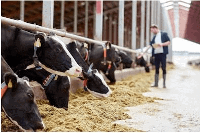 Chapter Notes - Crop Production and Management Class 8 Notes | EduRev