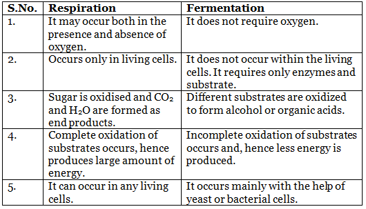 Aerobic and Anaerobic Respiration Class 10 Notes | EduRev