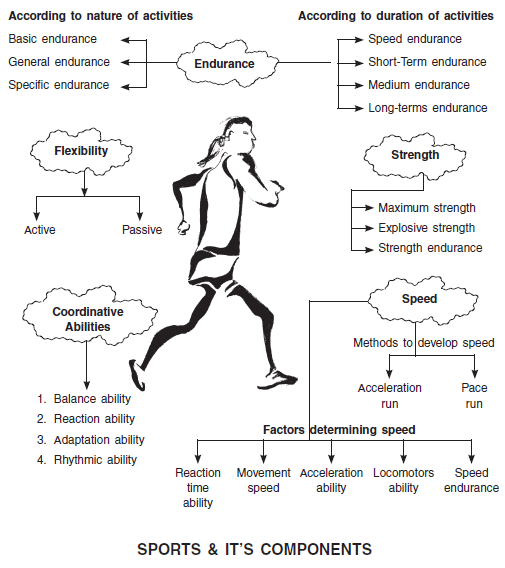Chapter 12 Training in Sports, Chapter Notes, Class 12, Physical