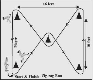 Test And Measurement In Sports Physical Education Revision Notes Class 12 Class 12 Notes Edurev