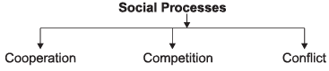 Revision Notes, Social Structure, Stratification and Social Processes | EduRev Notes