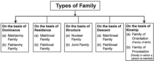 Revision Notes - Understanding Social Institutions, Class 11 | EduRev Notes