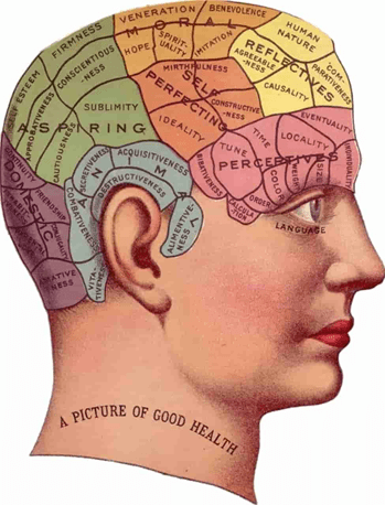 Revision Notes - What is Psychology Humanities/Arts Notes | EduRev