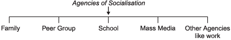Revision Notes - Culture and Socialisation, Class 11, Sociology | EduRev Notes