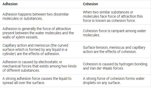 difference-between-cohesion-force-and-adhesion-force-edurev-class-9