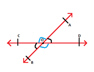 Adjacent Angles & Vertical Opposite Angles Notes - Class 6