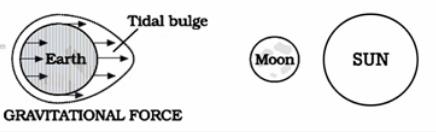 Movements of ocean water - Class 7 Class 7 Notes | EduRev