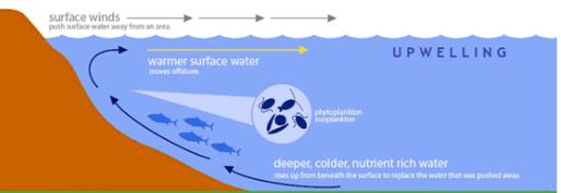 Movements of ocean water - Class 7 Class 7 Notes | EduRev