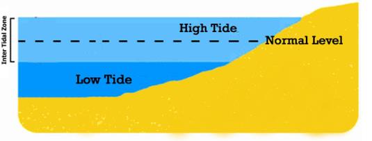 Movements of ocean water - Class 7 Class 7 Notes | EduRev
