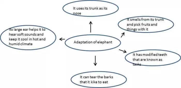 weather-climate-and-adaptations-of-animals-to-climate-class-7-class-7