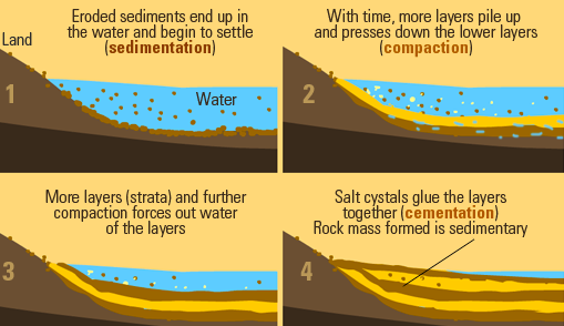 How Are Sedimentary Rocks Formed Class 5