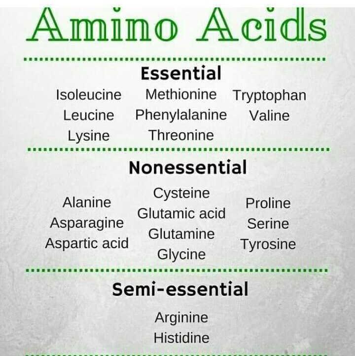 Non Essential Amino Acids Mnemonic Fasrlux vrogue.co