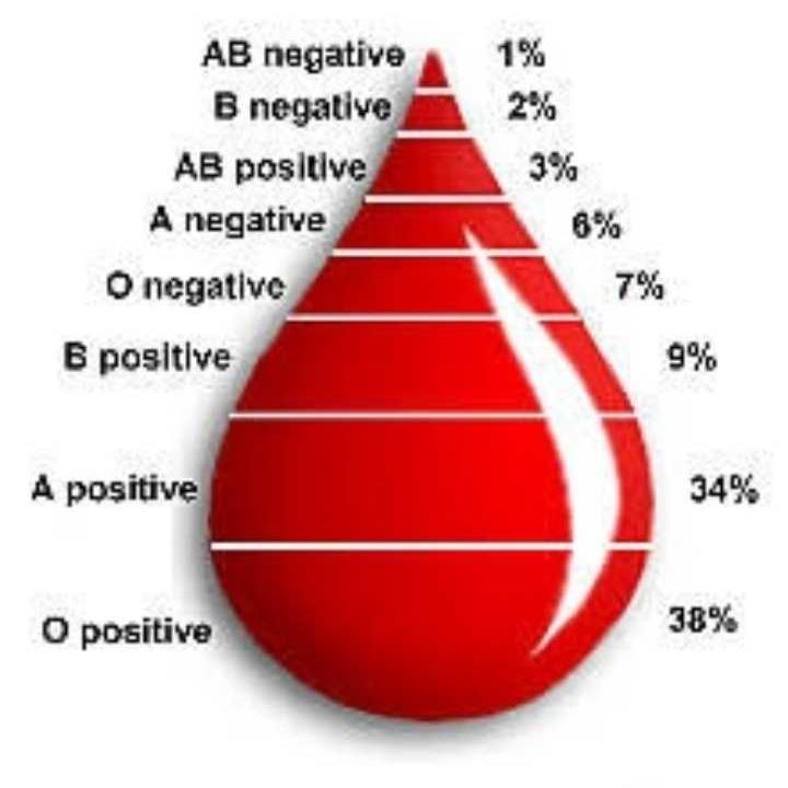 diego b negative blood type