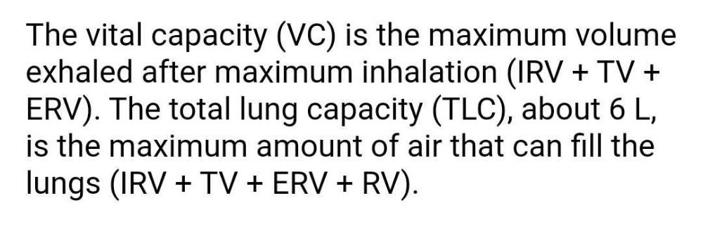 The vital capacity of the lungs includesa)ERV + RVb)ERV + TVc)IRV + TVd ...