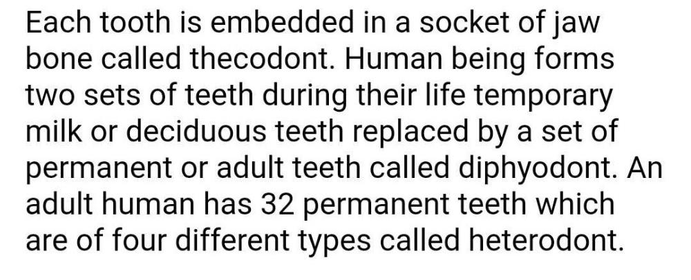 the-teeth-occur-in-human-beings-area-diphyodont-homodont-and-acrodontb