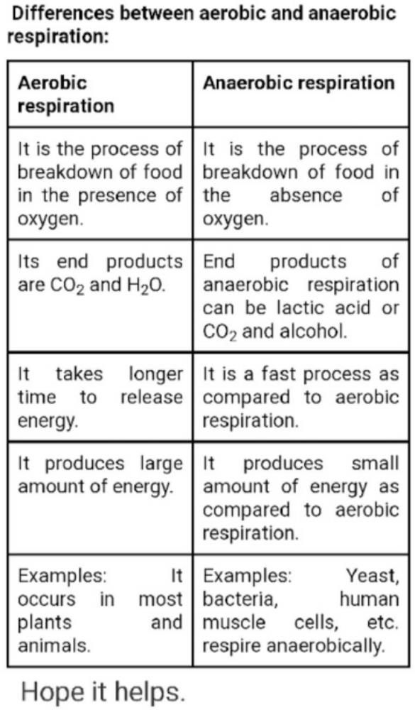 Difference Between Aerobic And Anaerobic Respiration Edurev Class 10 Question