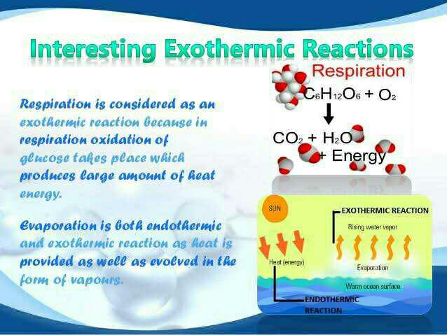 Learn Exothermic And Endothermic Reactions In 2 Minutes