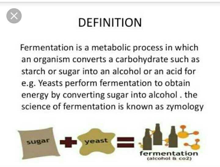 Fermentationskurs in meiner Nähe geöffnet - 5822700 B9f26a03 4090 4249 855b 43D0ac03440b Lg