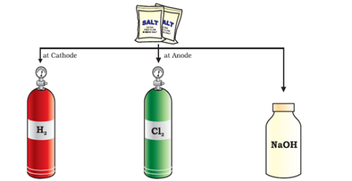 Acids - Notes, Chemistry, IAS UPSC Notes | EduRev