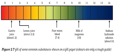 Acids - Notes, Chemistry, IAS UPSC Notes | EduRev